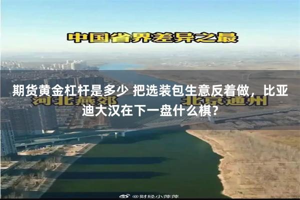 期货黄金杠杆是多少 把选装包生意反着做，比亚迪大汉在下一盘什么棋？