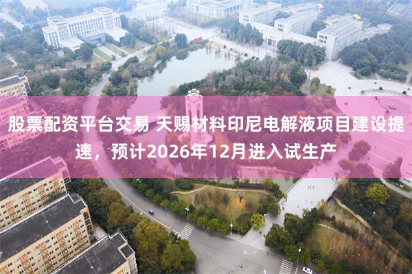 股票配资平台交易 天赐材料印尼电解液项目建设提速，预计2026年12月进入试生产